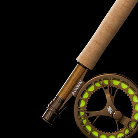 Alternative view of Sage Dart