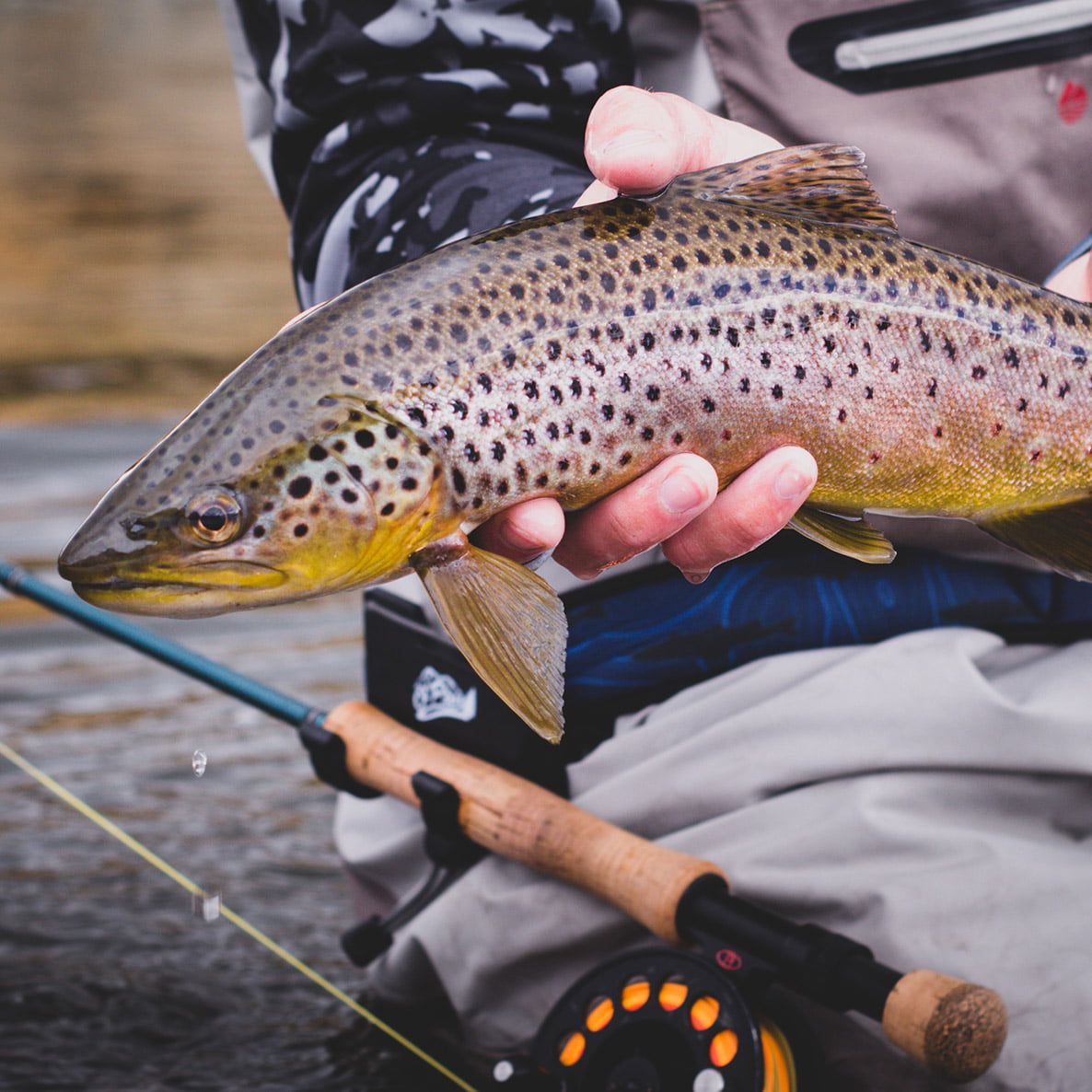 O'Pros 3rd Hand Click Version - Image 3