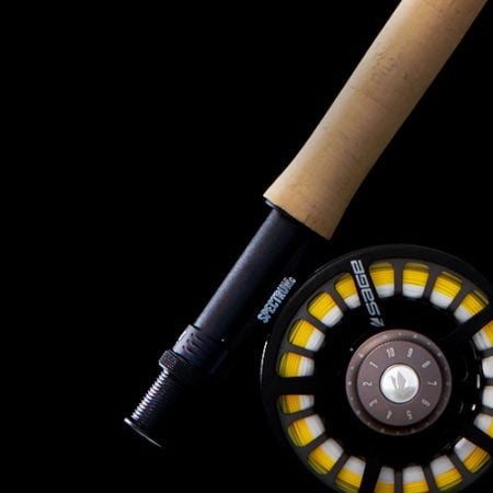 Alternative view of Sage Foundation