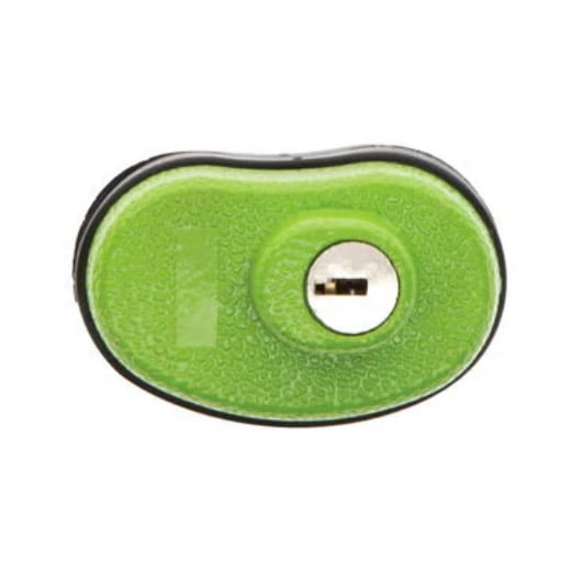 Lockdown Keyed Trigger Lock