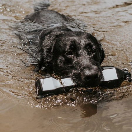 Alternative view of Avery PerfectHold Bumper Flasher