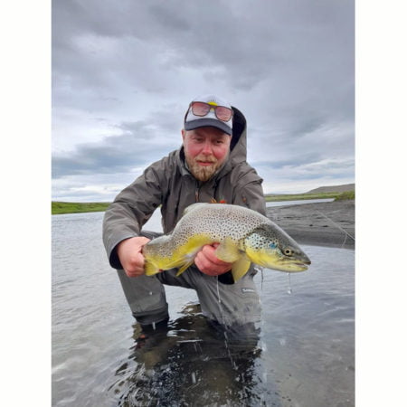 Alternative view of Dagbók urriða