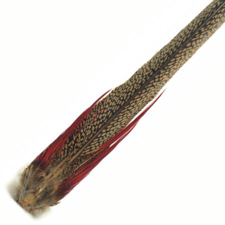 Alternative view of Veniard Golden Pheasant Complete Tail