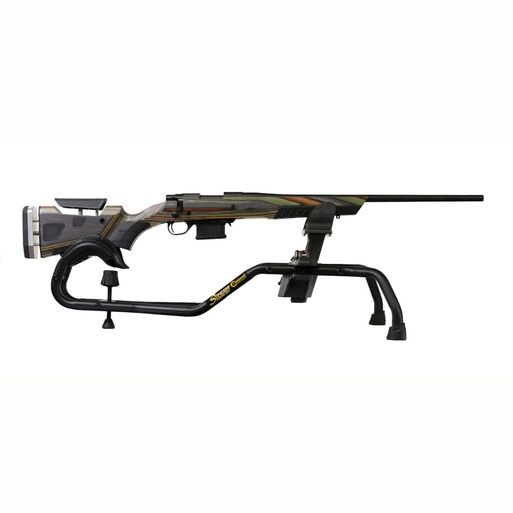 Howa 1500 Boyds AT Std 223