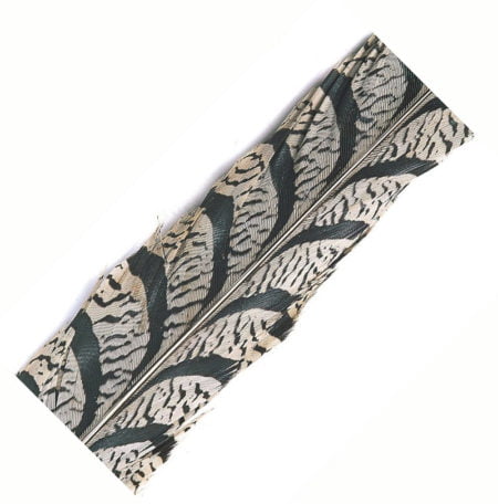 Alternative view of Veniard Amherst Tail Piece