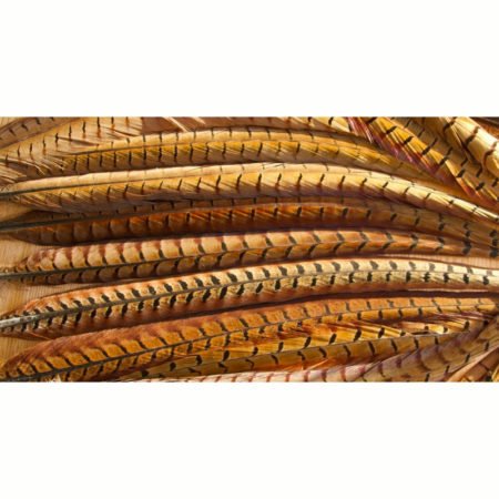 Veniard Cock Pheasant Centre Tails Nat