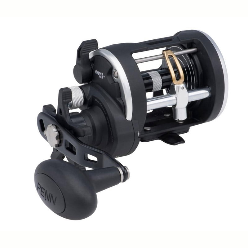 Penn Rival Level Wind