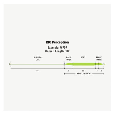 Alternative view of Rio Premier Perception