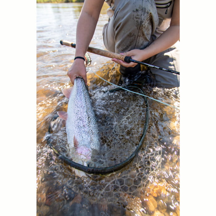 TFO Pro III Two Handed - Image 3