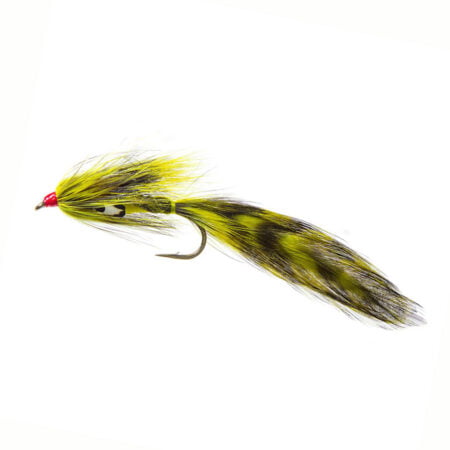 Alternative view of Rektor