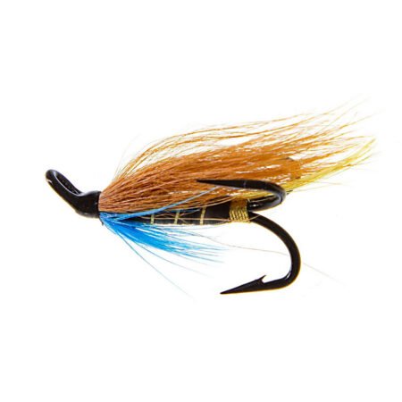 Alternative view of Hairy Mary