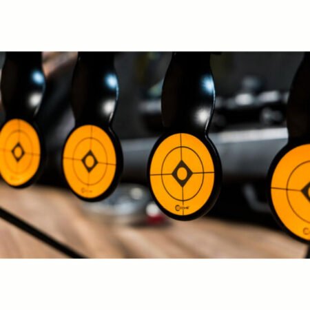 Alternative view of Caldwell Rimfire Resetting Target