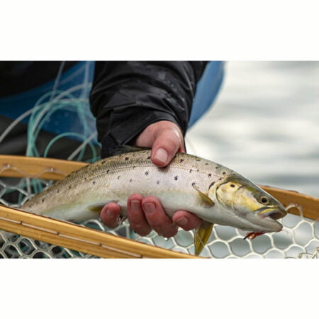 Alternative view of Ahrex Flexistripper Tan