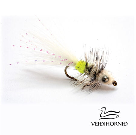 Alternative view of Nobbler Hvítur