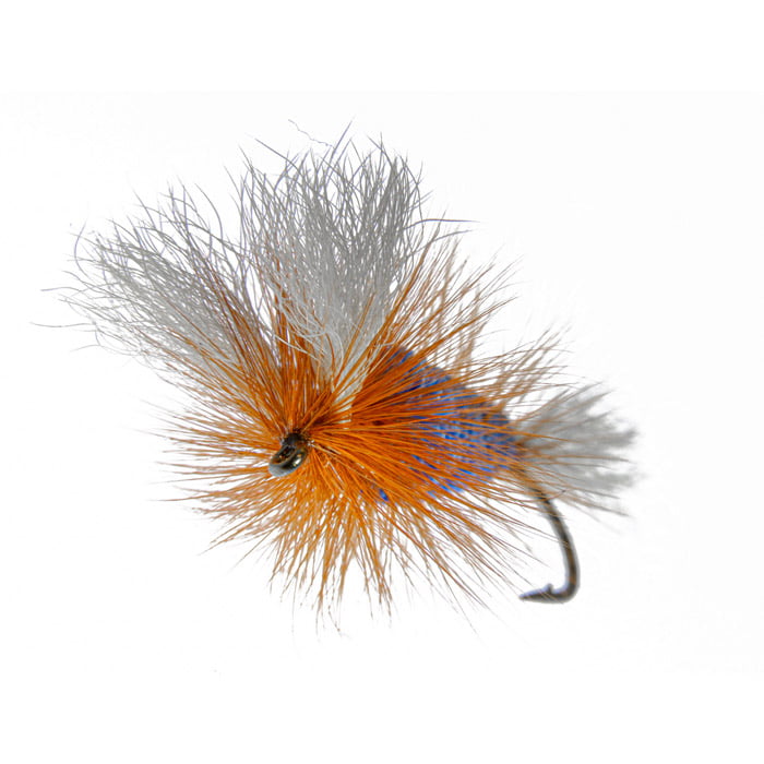 Wulff Bomber Electric Blue White - Image 2