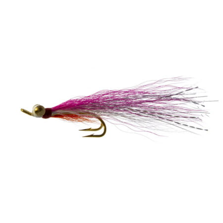 Kötturinn (Heimasæta)