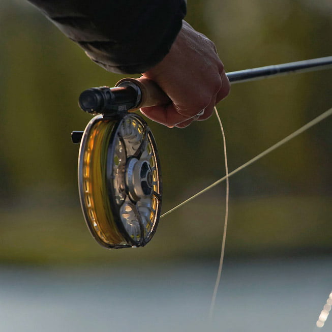 Sage Arbor XL Frost - Image 2