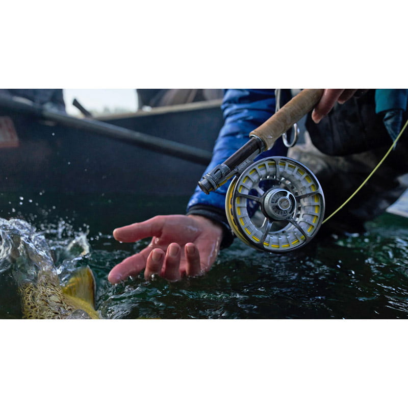 Sage Arbor XL Frost - Image 6