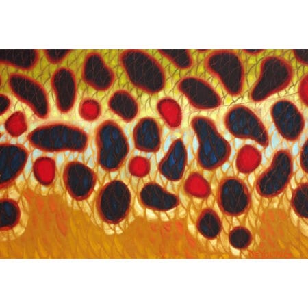 DeYoung Abstract Brown Trout Flank 5/50