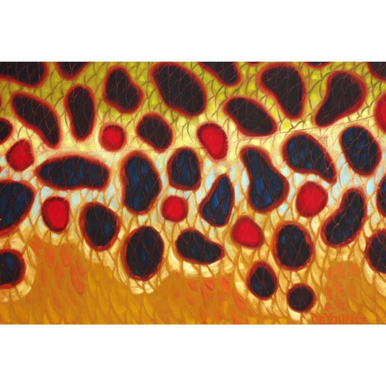DeYoung Abstract Brown Trout Flank 5/50