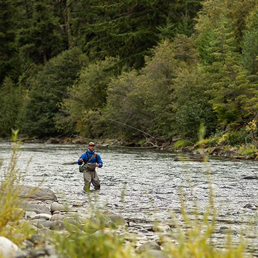 Sage Sonic - Image 9