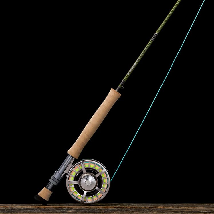 Sage Sonic - Image 7