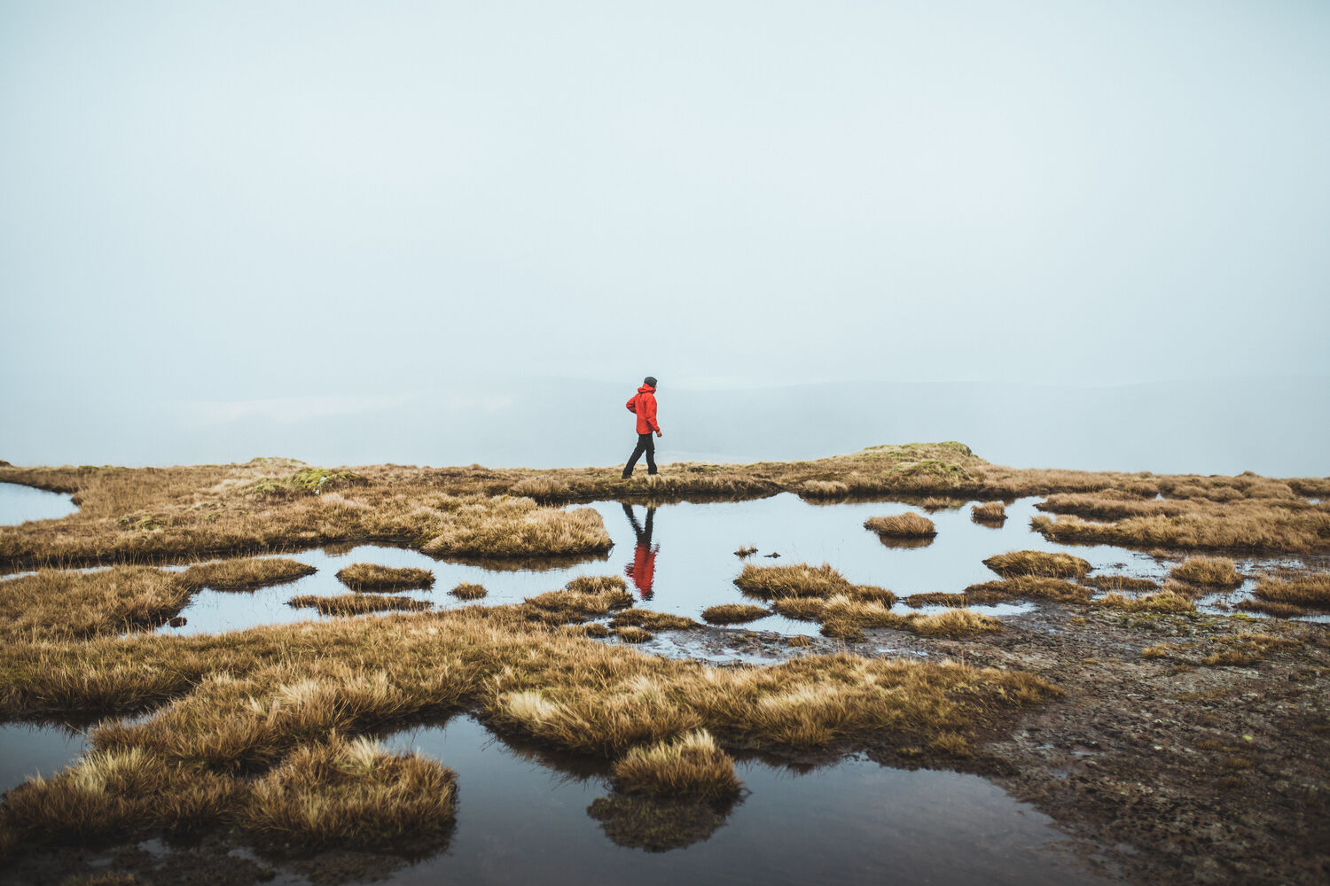 Sealskinz Stanfield Olive - Image 5