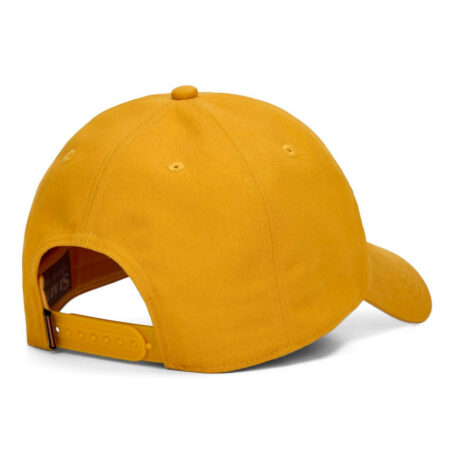 Alternative view of Simms Single Haul Cap Amaretto Rainbow