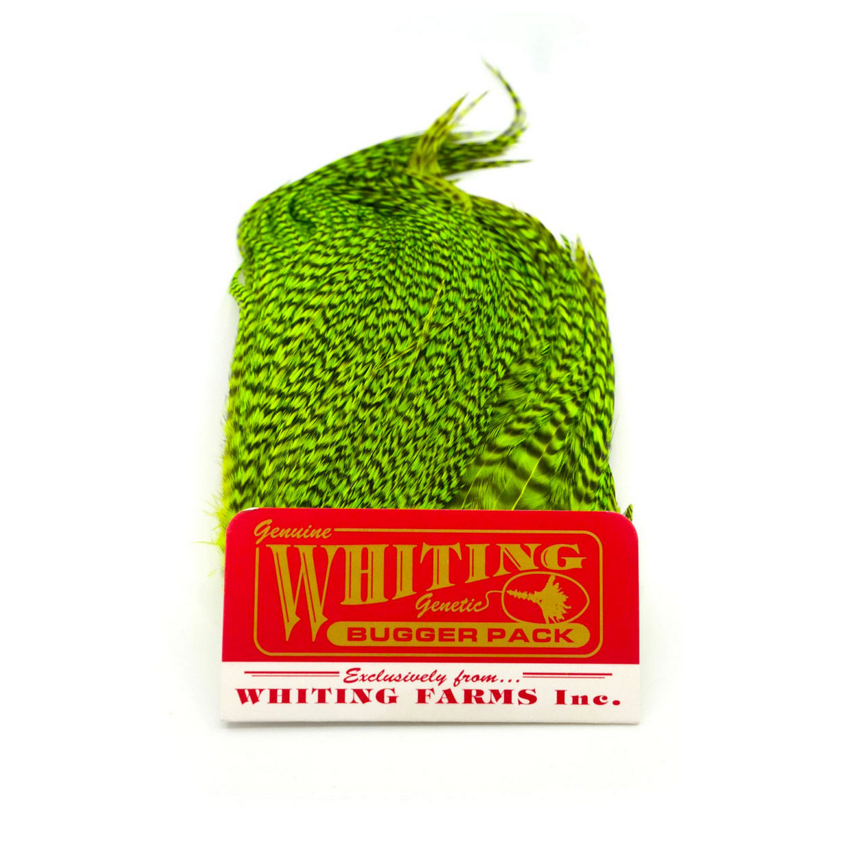 Whiting Bugger Pack Grizzly Dyed Fl Green - Image 2