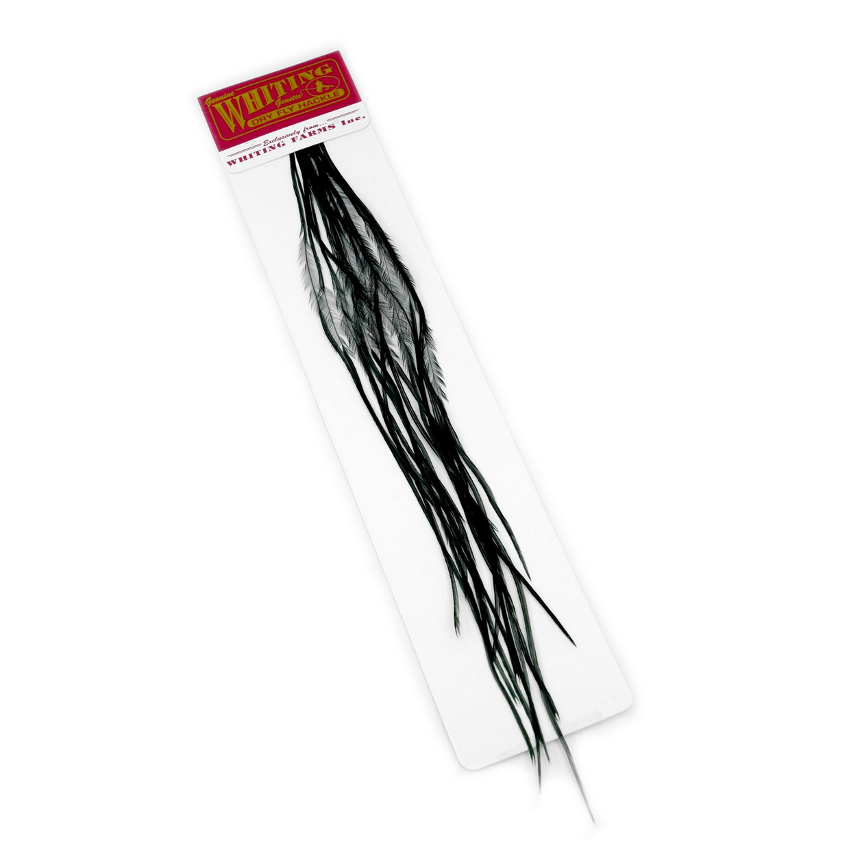 Whiting 100 Pk Size 14 Black - Image 2
