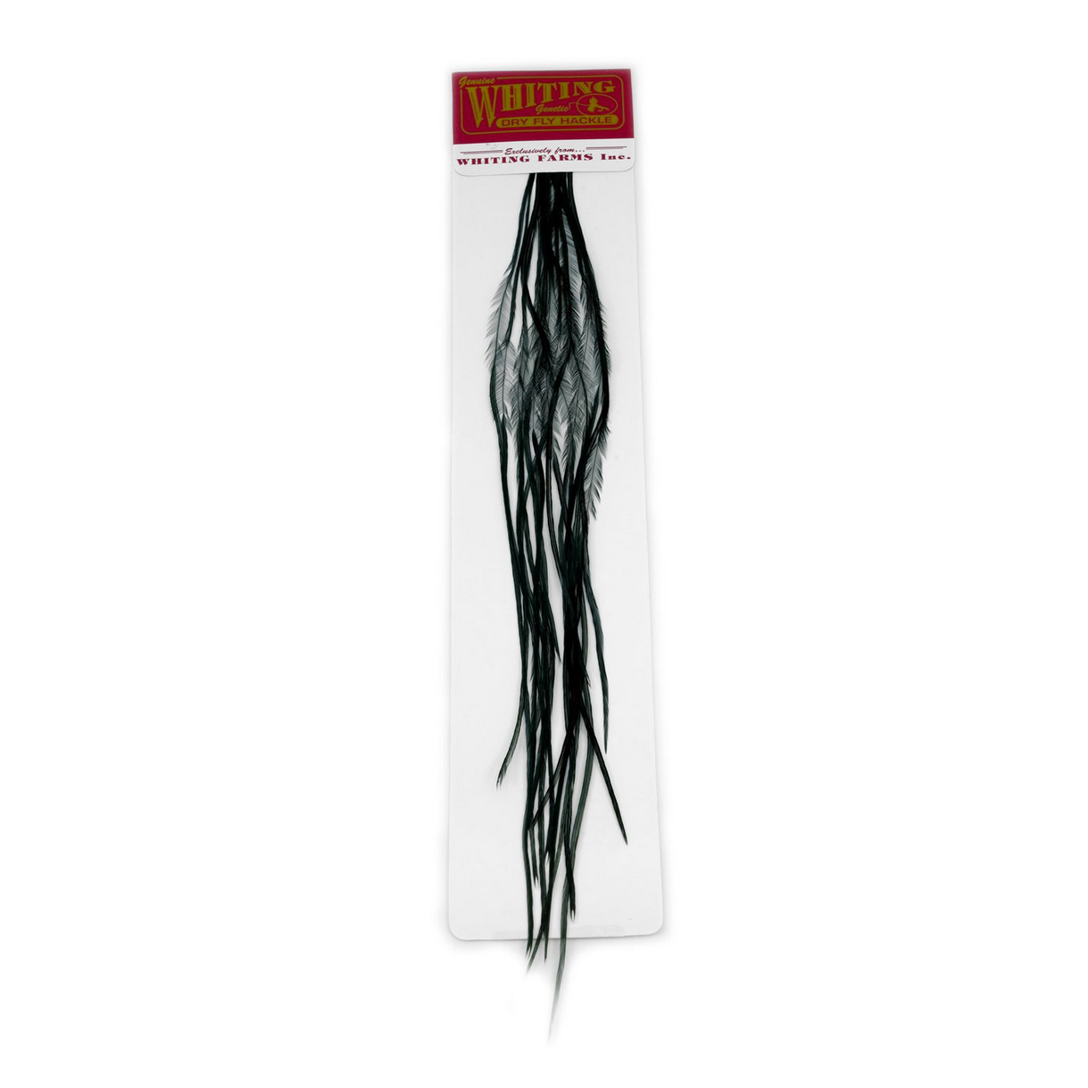 Whiting 100 Pk Size 14 Black
