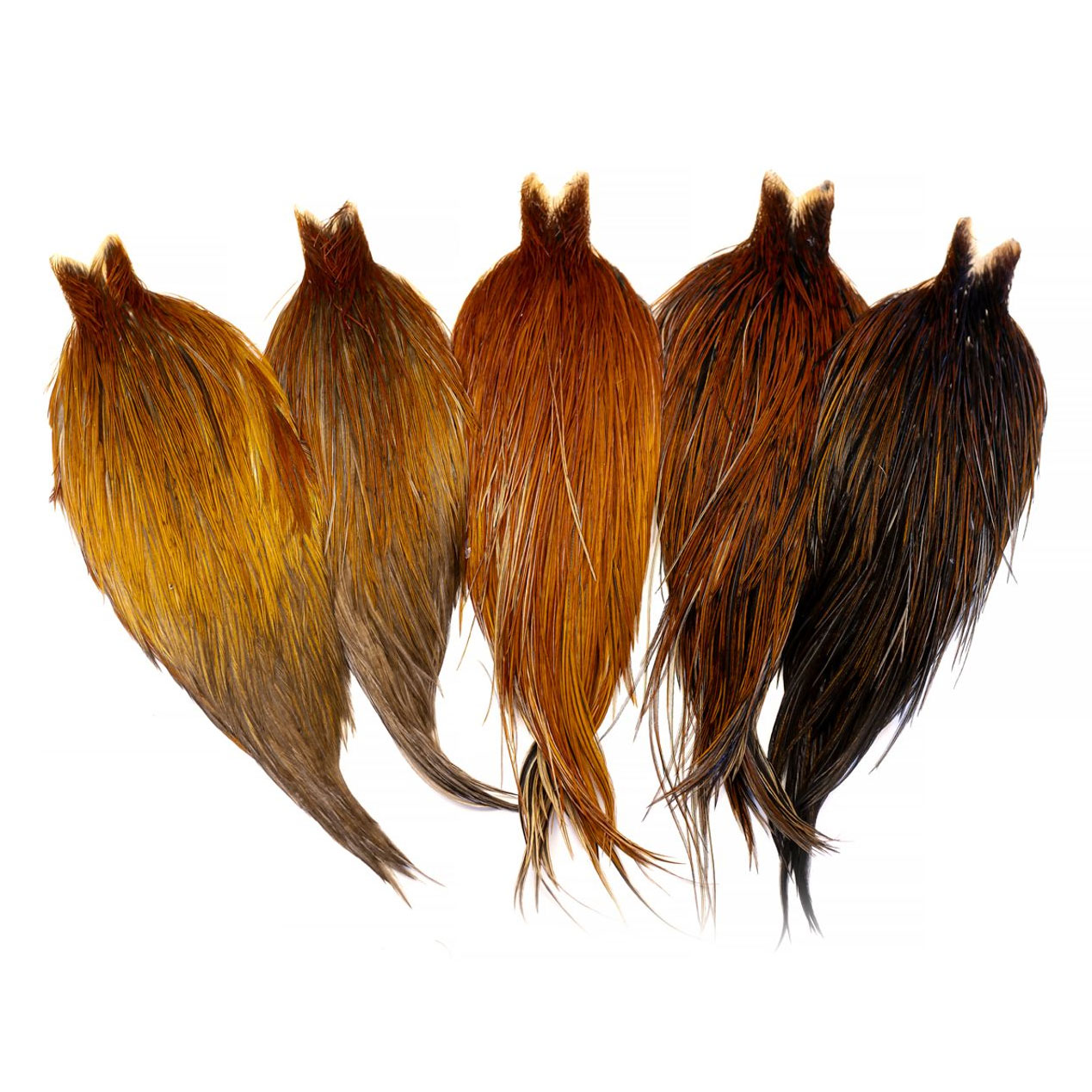 Whiting Heritage Hackle Cape Brown Variant
