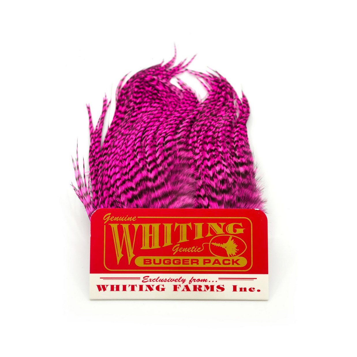 Whiting Bugger Pack Grizzly Dyed Pink - Image 2