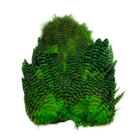 Whiting Rooster SH/C Grizzly Dyed Green Highlander