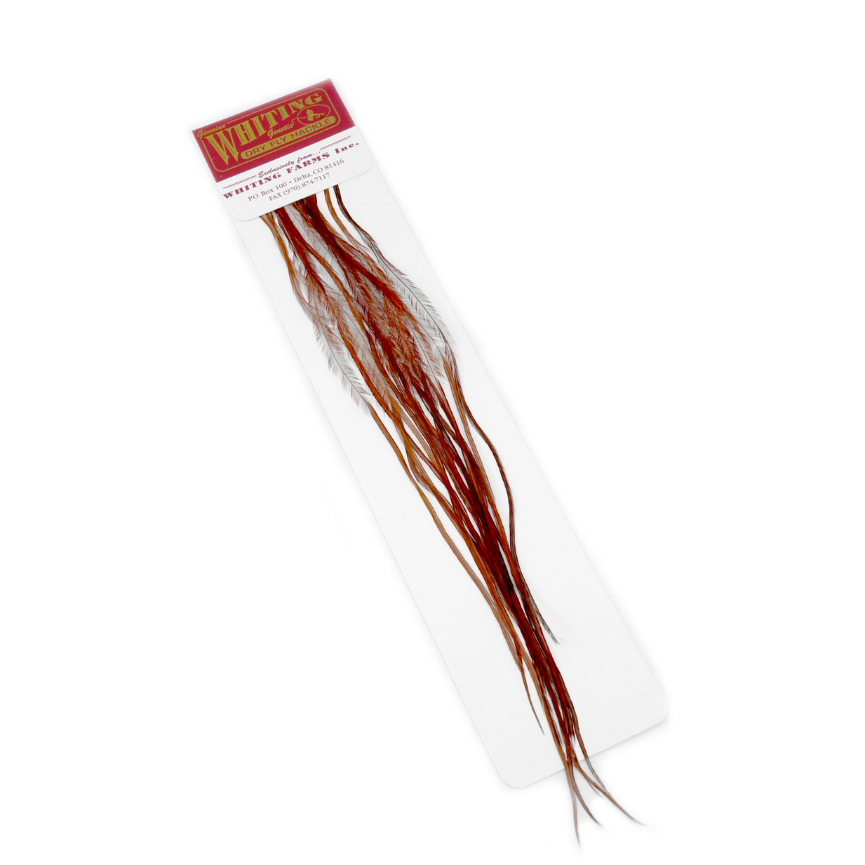 Whiting 100 Pk Size 14 Brown - Image 2