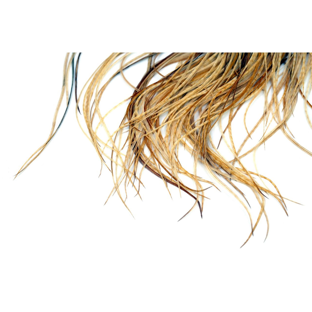 Whiting Bronze Midge 1/2 Saddle Barred Med Ginger - Image 2