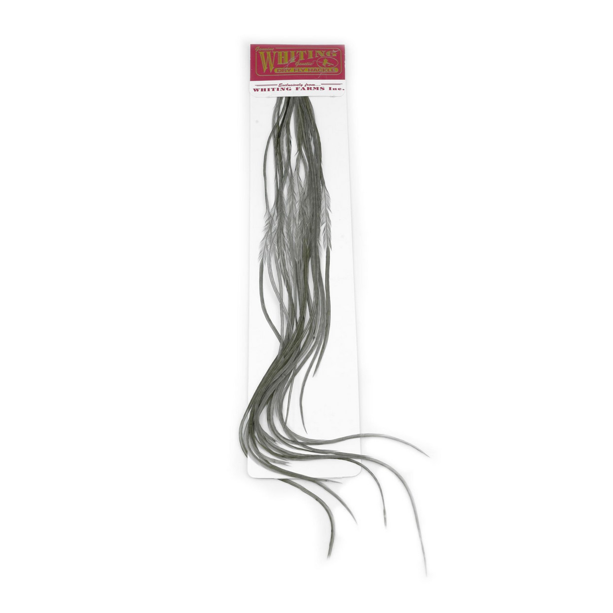Whiting 100 Pk Size 10 White Dyed Dk Dun