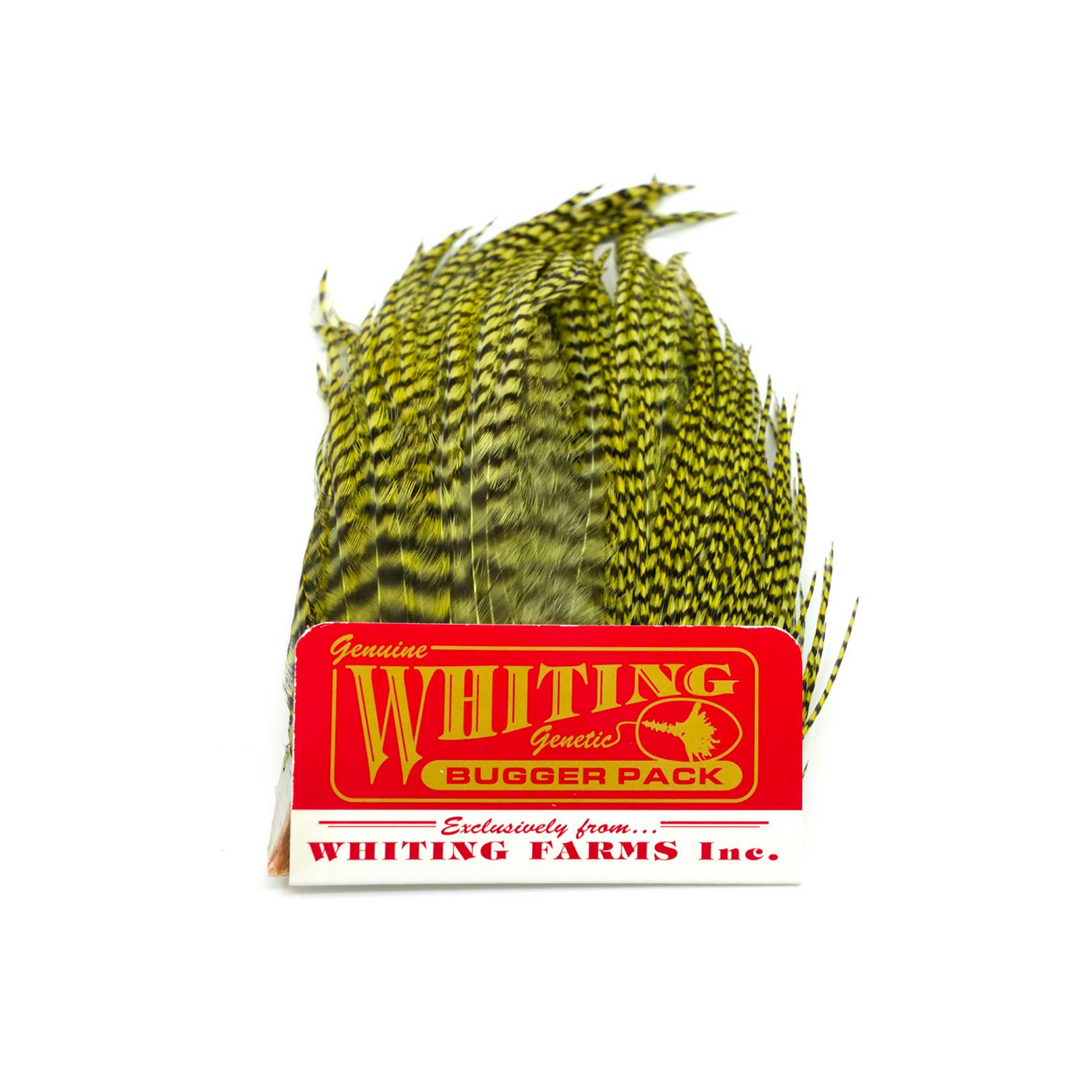 Alternative view of Whiting Bugger Pack Grizzly dyed Olive