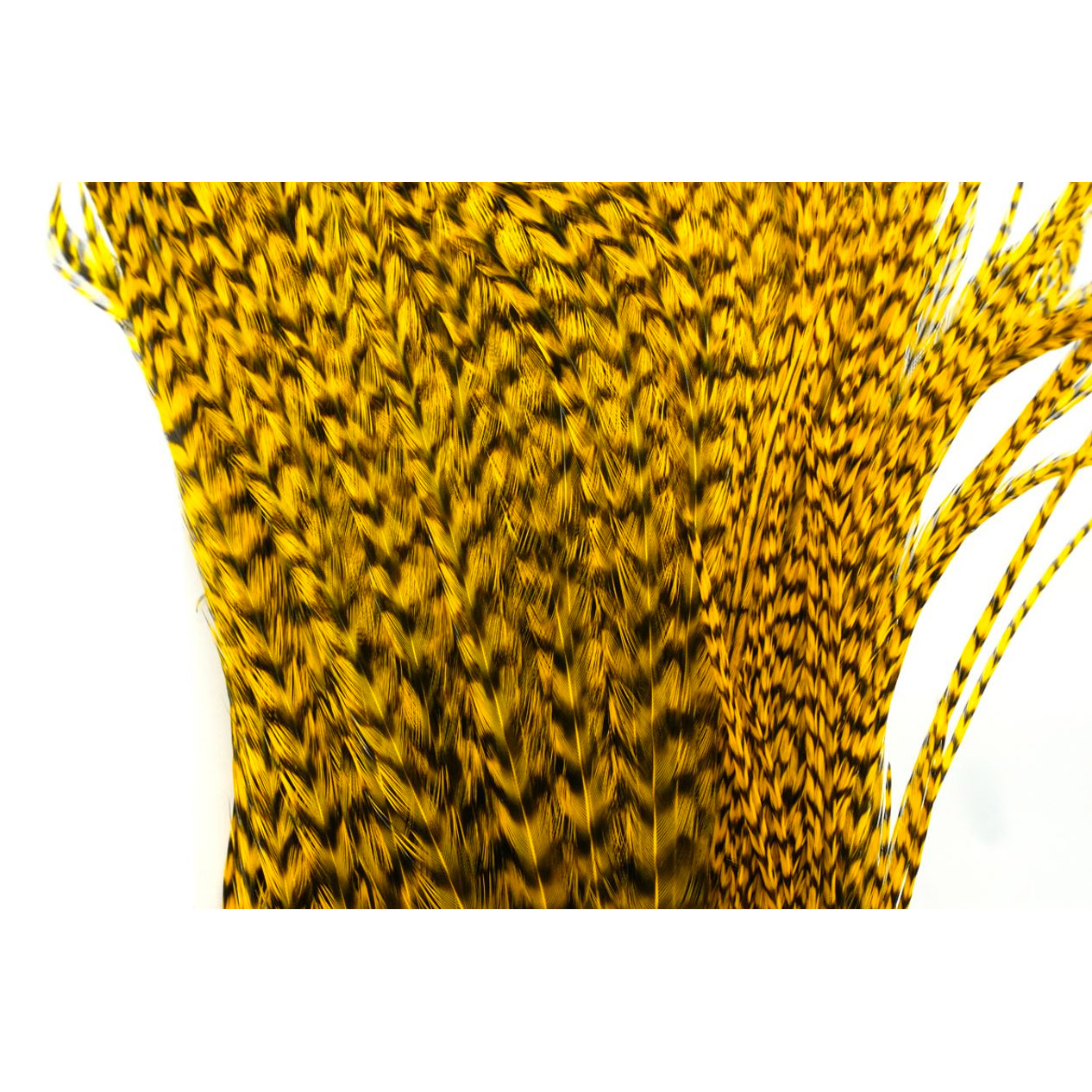 Whiting Bugger Pack Grizzly Dyed Yellow - Image 3
