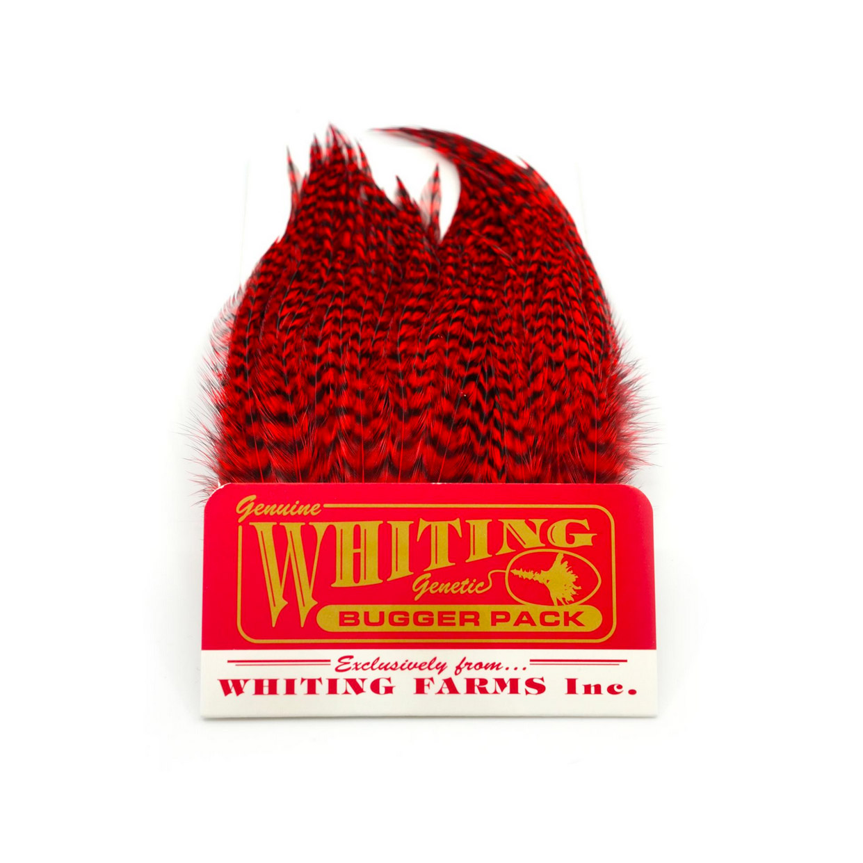 Whiting Bugger Pack Grizzly Dyed Red - Image 2