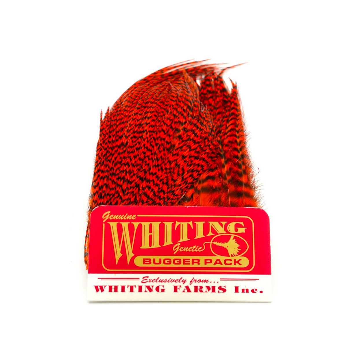 Whiting Bugger Pack Grizzly Dyed Orange - Image 2
