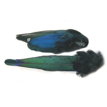 Veniard Magpie Whole Tail Nat