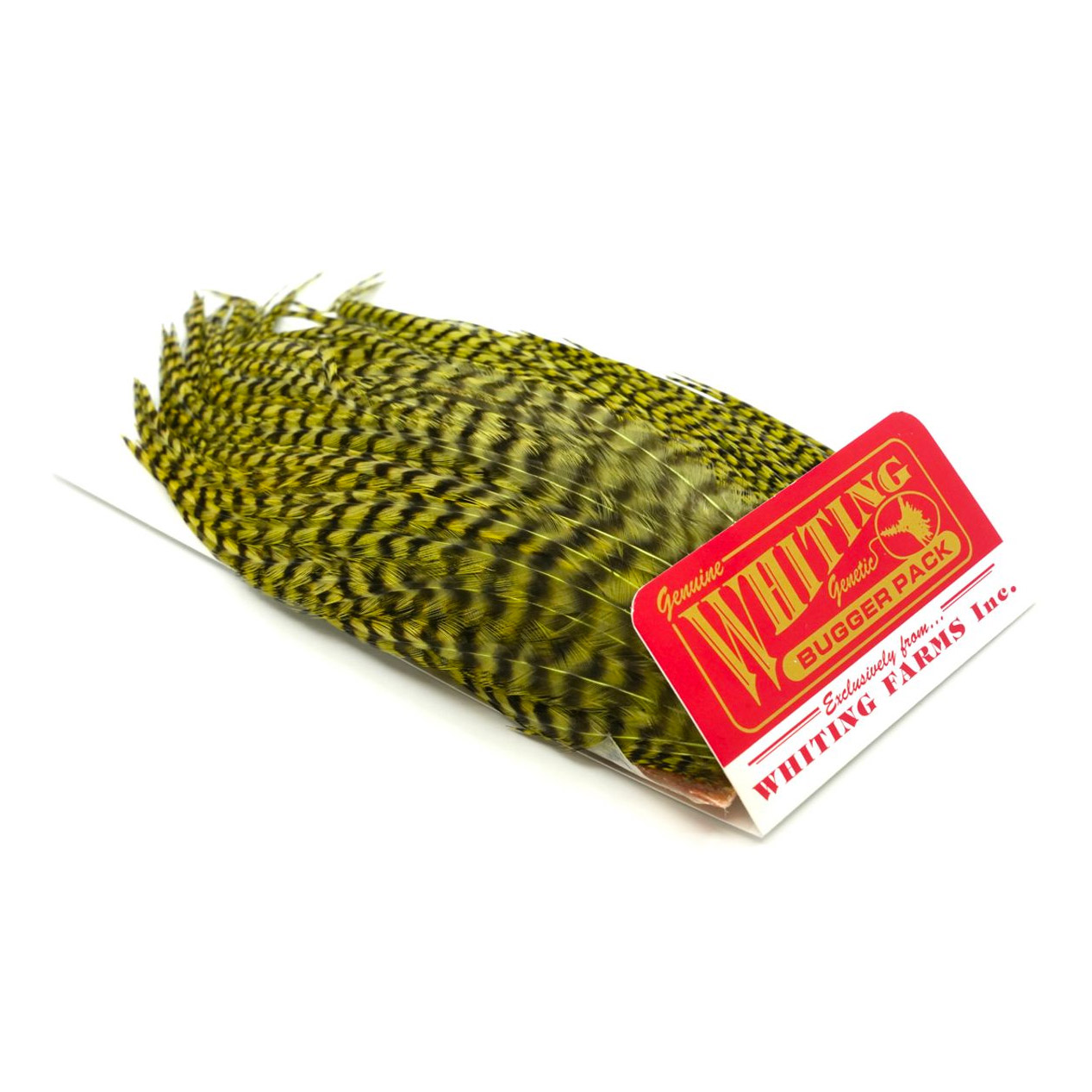 Whiting Bugger Pack Grizzly dyed Olive
