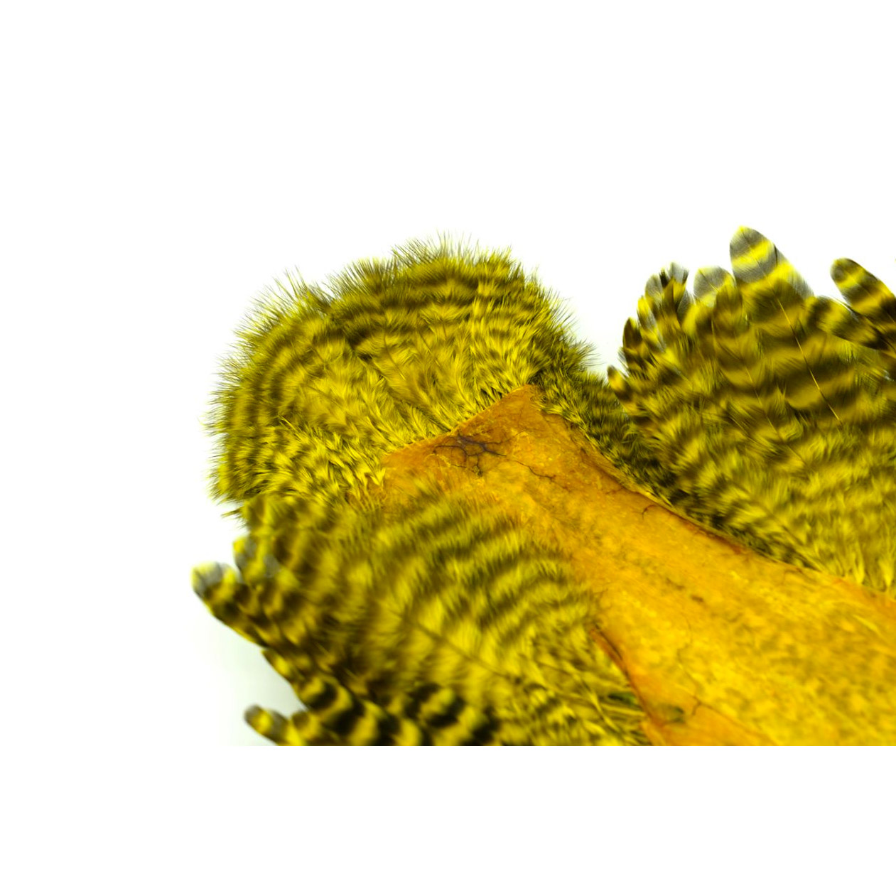Whiting Rooster SH/C Grizzly Dyed Yellow - Image 3