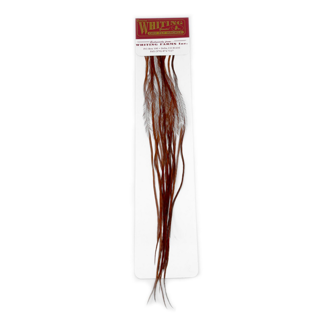 Whiting 100 Pk Size 14 Brown