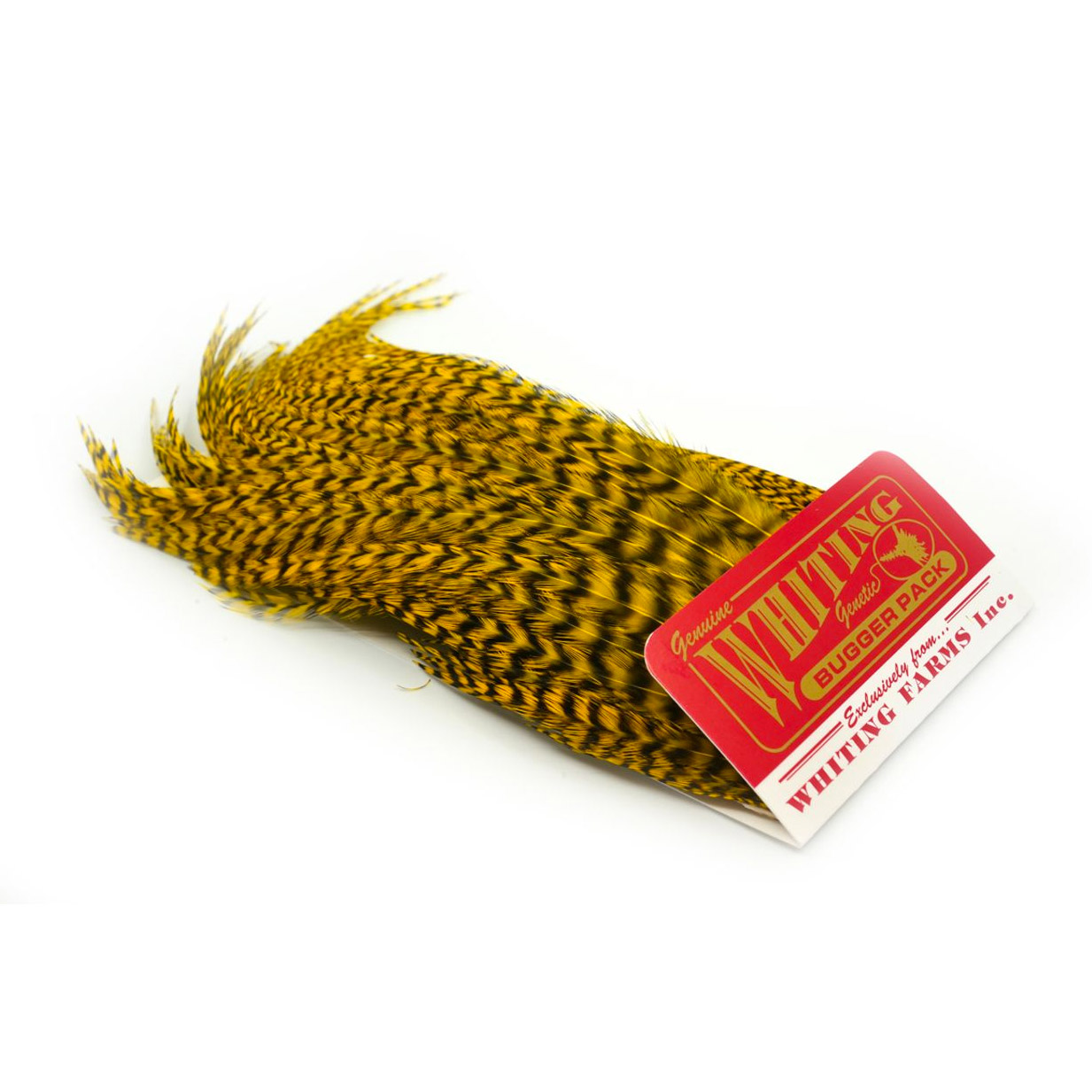 Whiting Bugger Pack Grizzly Dyed Yellow