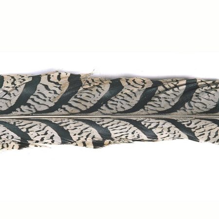 Veniard Amherst Tail Piece Natural