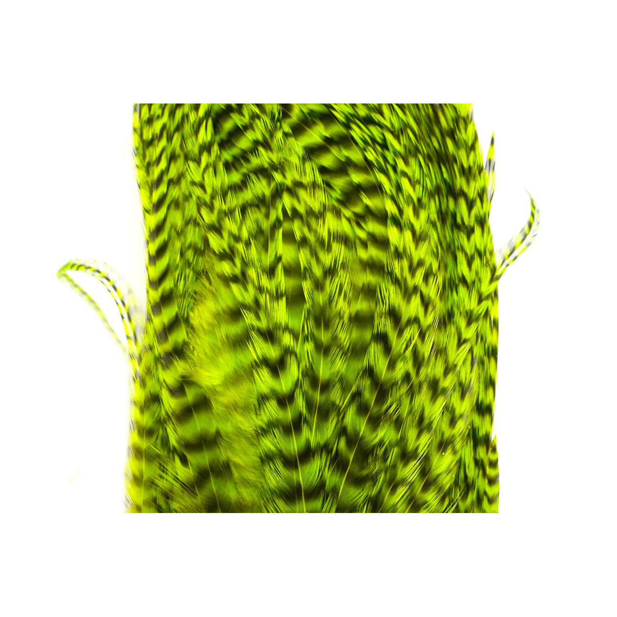Whiting Bugger Pack Grizzly Dyed Fl Green - Image 3