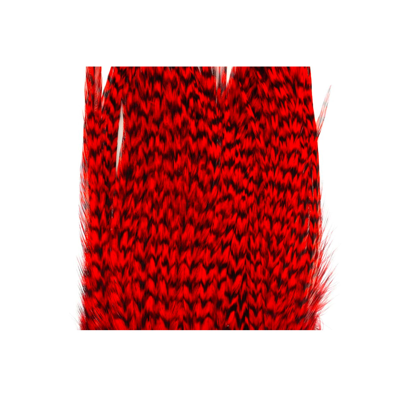 Whiting Bugger Pack Grizzly Dyed Red - Image 3