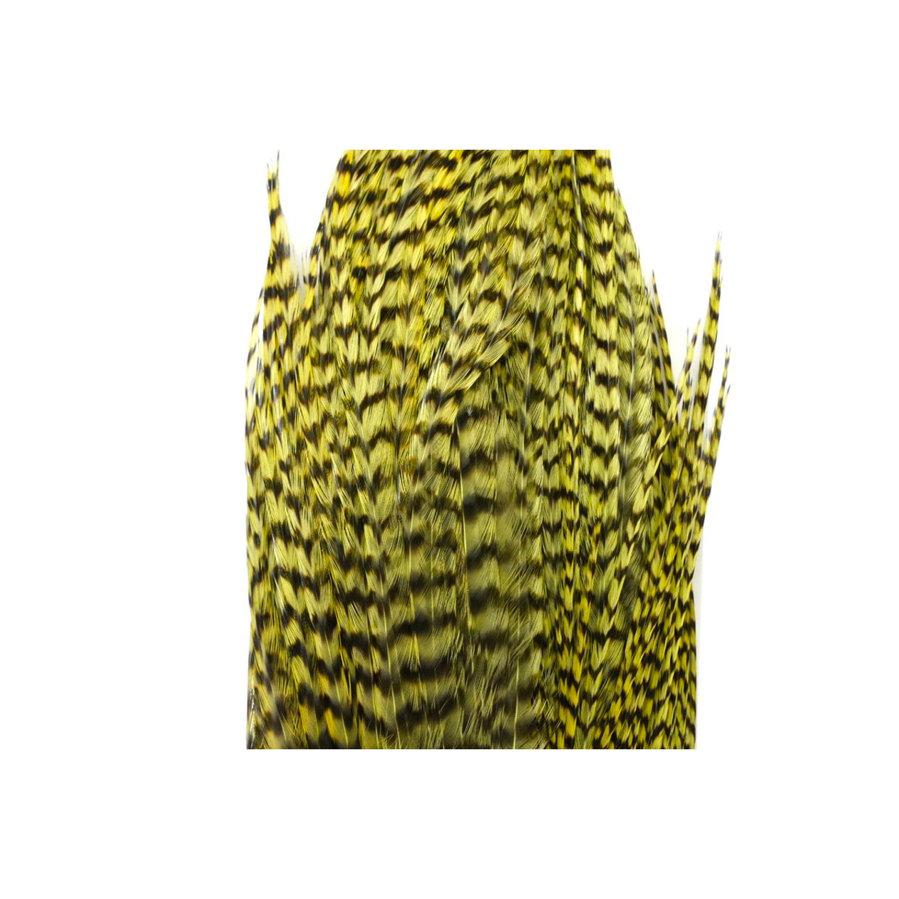 Whiting Bugger Pack Grizzly dyed Olive - Image 3